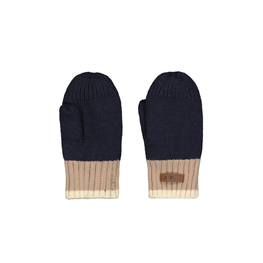 Pair of navy and beige mittens on a white background