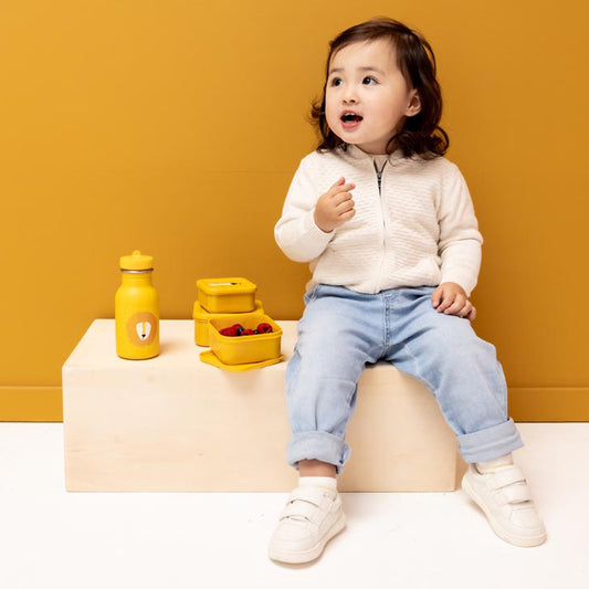 Trixie Kids Snackbox x 3 (Lion)