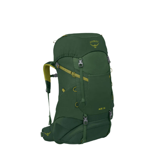 Osprey Ace 38 Youth Backpack (Green Canopy)