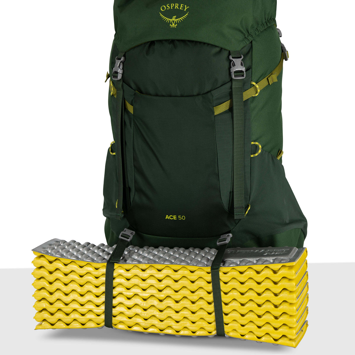 Osprey Ace 50 Youth Backpack (Blue Spikemoss)
