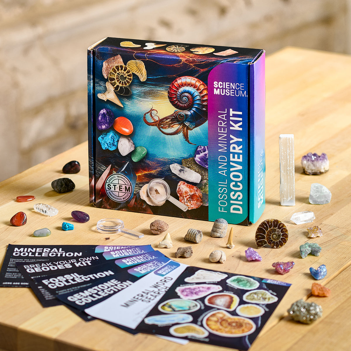 Fossil & Mineral Discovery Kit