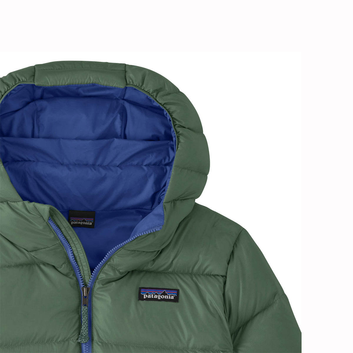 Patagonia Boys Hi Loft Down Sweater Hoody (Canopy Green)