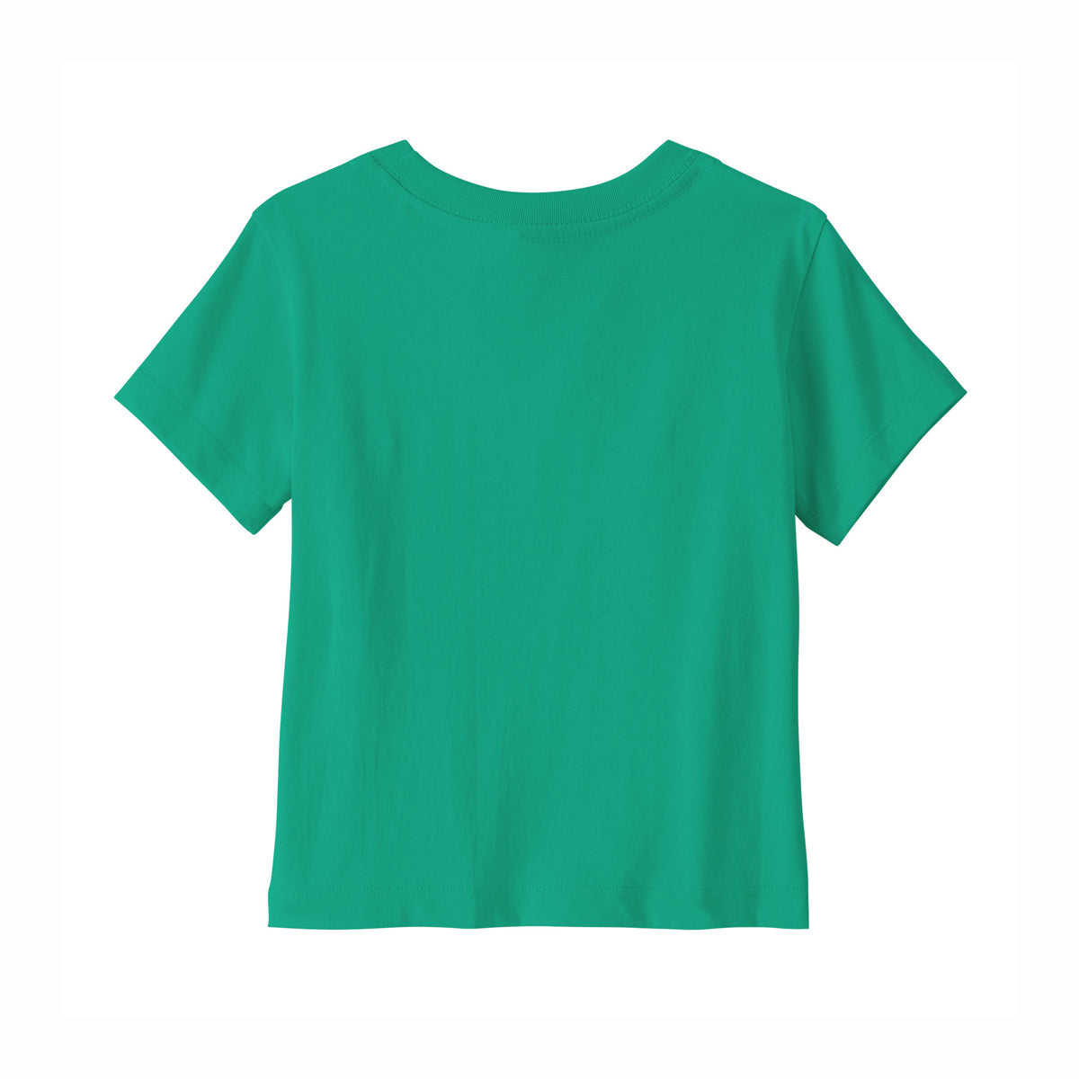 Patagonia Baby Fitz Roy Skies Organic T-Shirt (Aqua Stone)