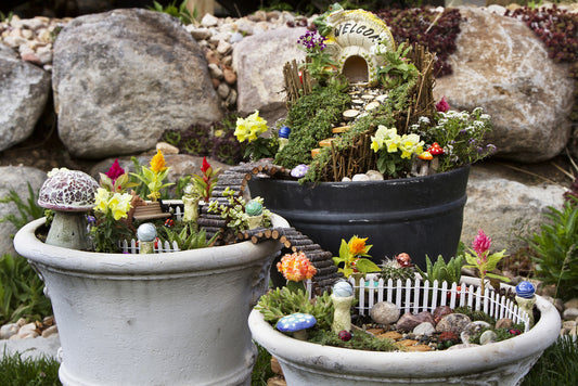 Away With The Fairies: What is a Fairy Garden?