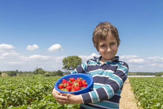 The Ultimate Guide To Pick Your Own Fruit Farms