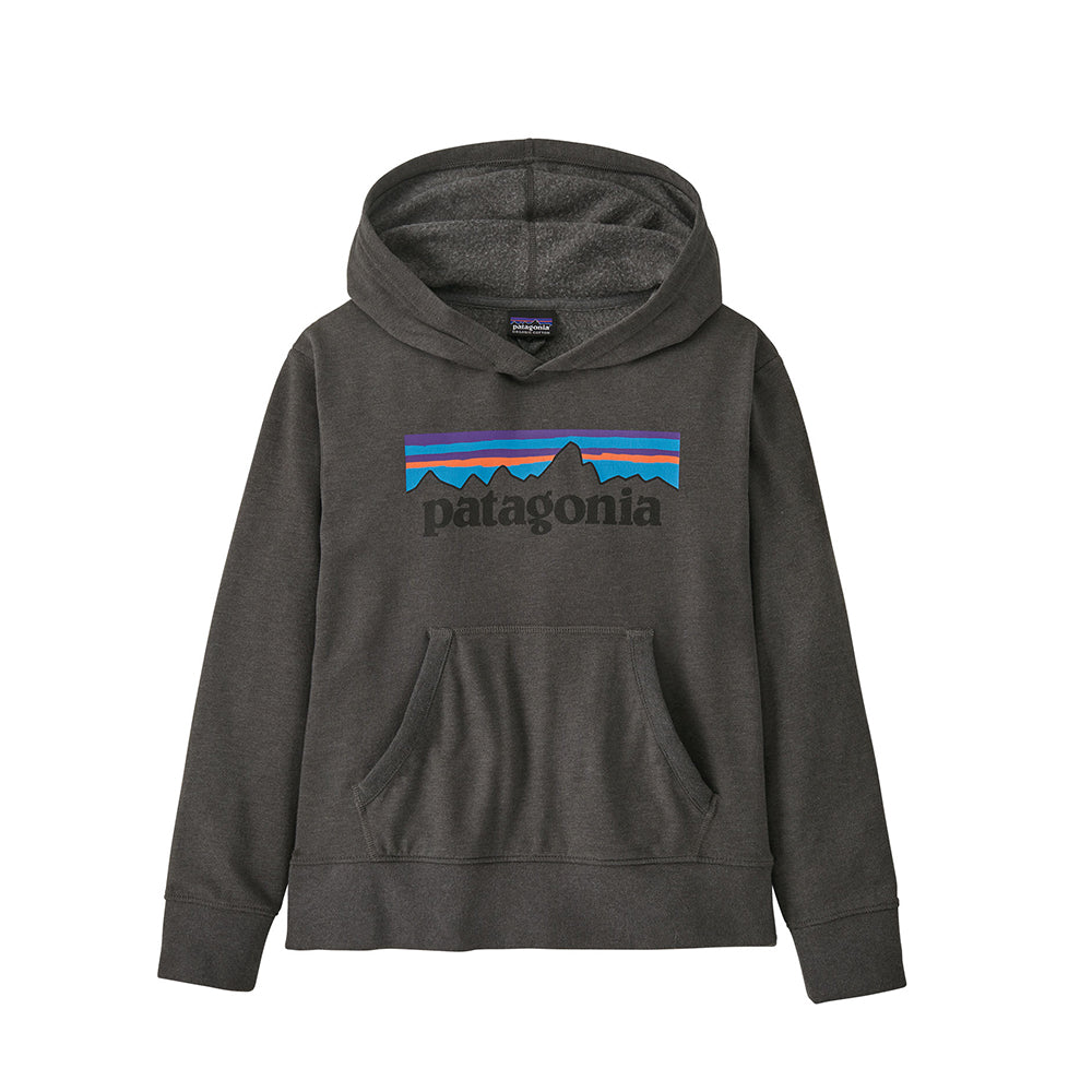 Patagonia Kids Lightweight Graphic Hoody (P6 Forge Grey)