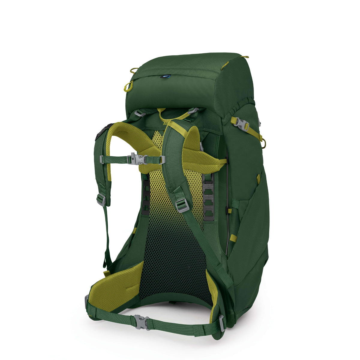 Osprey Ace 38 Youth Backpack (Green Canopy) – Little Adventure Shop