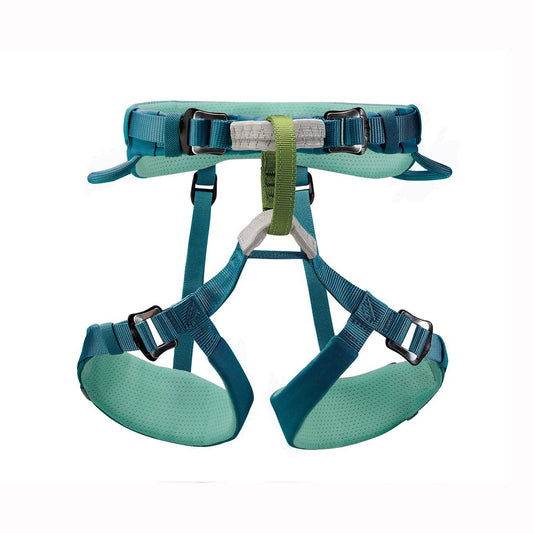 Kids climbing harness in blue and green on a white background