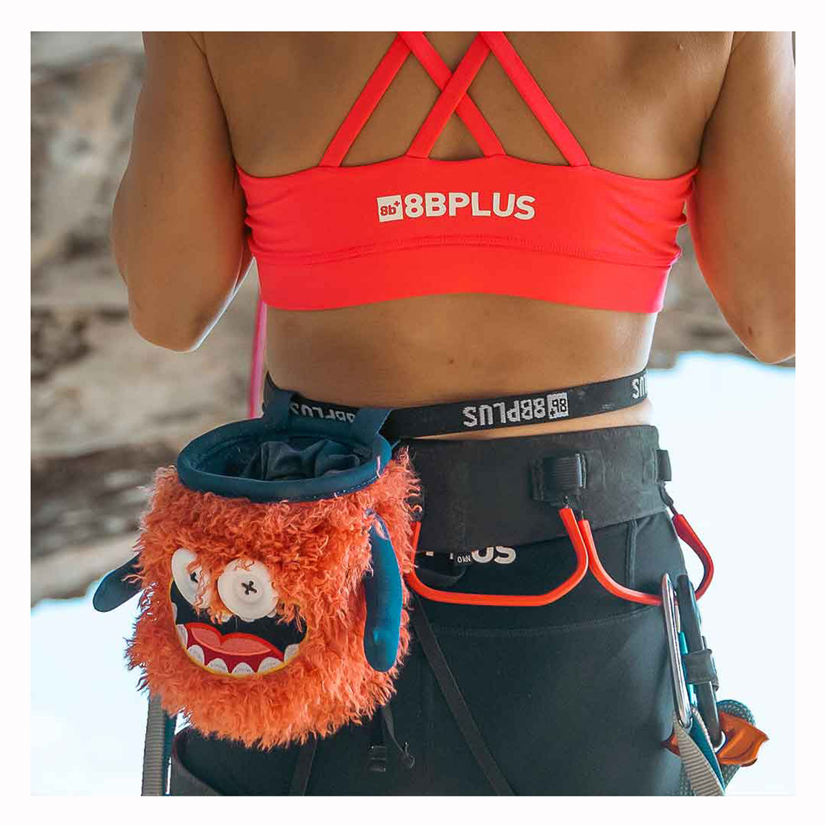 8b+ Monster Chalk Bag (Eddie)