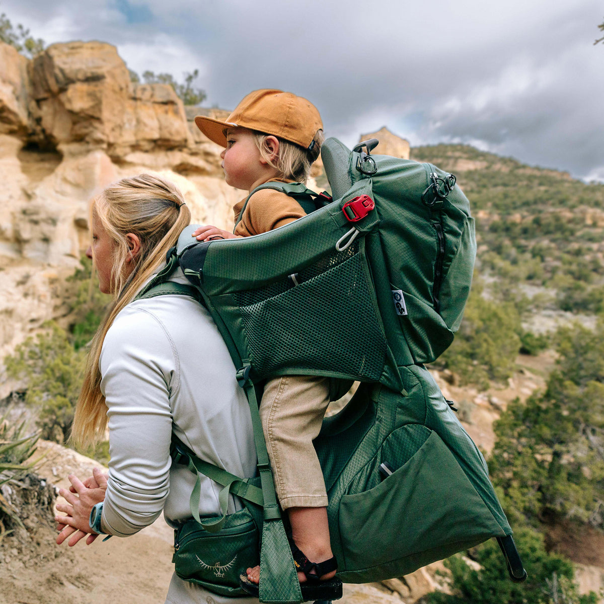 Osprey Poco Premium Baby Carrier (Green) – Little Adventure Shop