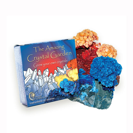Colorful crystal garden kit with packaging on a white background
