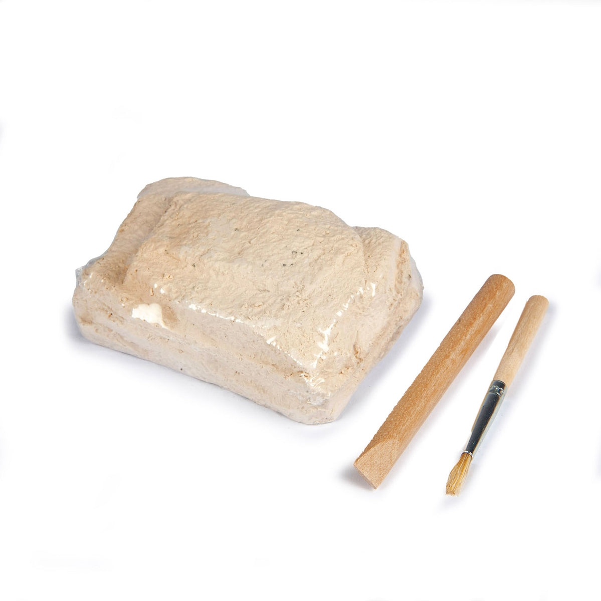 Dig Your Own Fossils