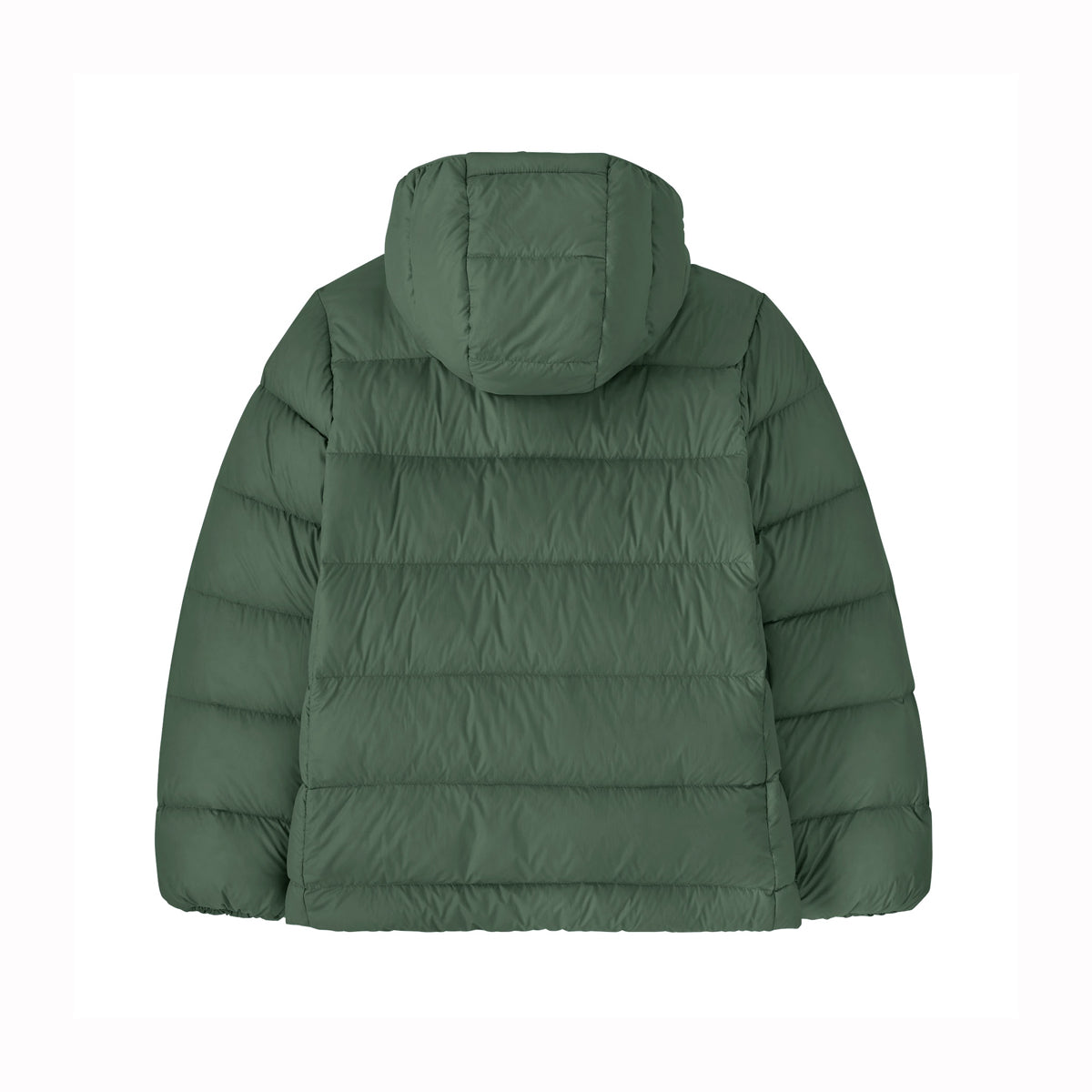 Patagonia Boys Hi Loft Down Sweater Hoody (Canopy Green)