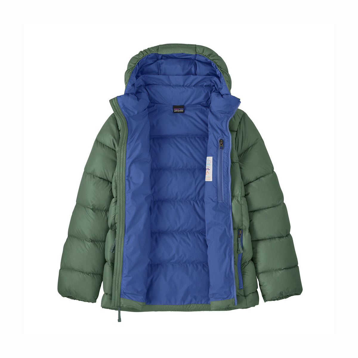 Patagonia Boys Hi Loft Down Sweater Hoody (Canopy Green)