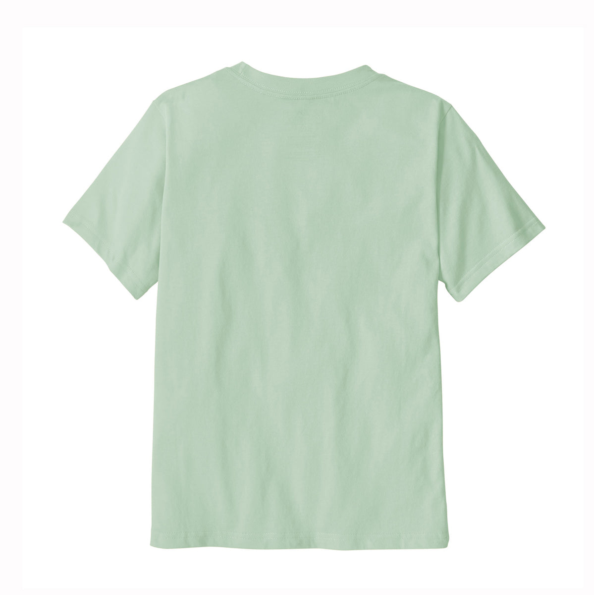 Patagonia Kids P-6 Logo Organic Cotton T-Shirt (Thin Ice)