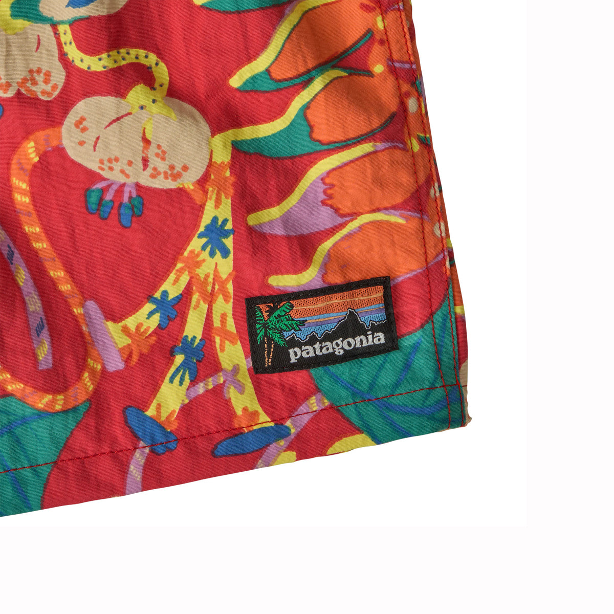 Patagonia Baby Baggies™ Shorts (Tidal Threads)