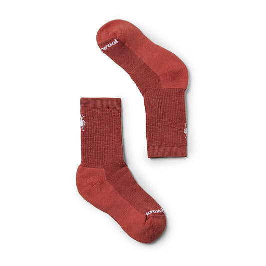 Smartwool Kids Hike Full Cushion Crew Socks (Dusty Cedar)